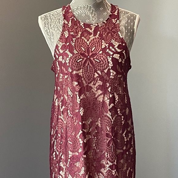 Express Lace Shift Dress - Picture 4 of 13
